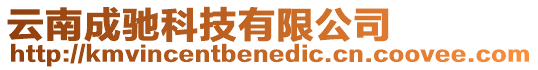 云南成馳科技有限公司