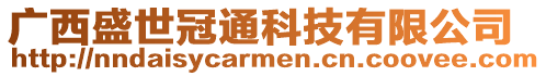 廣西盛世冠通科技有限公司