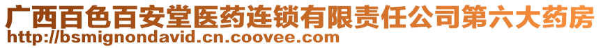 廣西百色百安堂醫(yī)藥連鎖有限責(zé)任公司第六大藥房