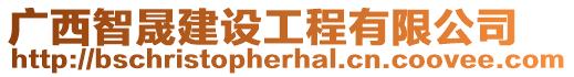 廣西智晟建設(shè)工程有限公司