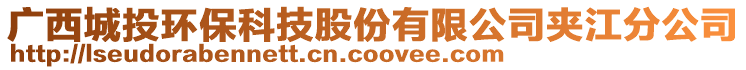 廣西城投環(huán)?？萍脊煞萦邢薰緤A江分公司