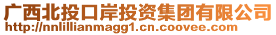 廣西北投口岸投資集團(tuán)有限公司