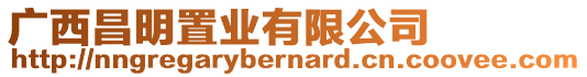 廣西昌明置業(yè)有限公司