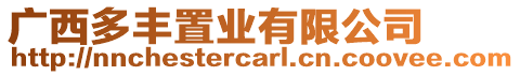 廣西多豐置業(yè)有限公司