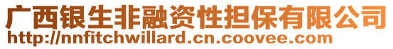 廣西銀生非融資性擔保有限公司