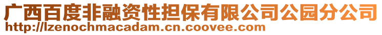 廣西百度非融資性擔(dān)保有限公司公園分公司