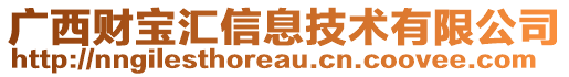 廣西財寶匯信息技術(shù)有限公司