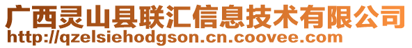 廣西靈山縣聯(lián)匯信息技術(shù)有限公司