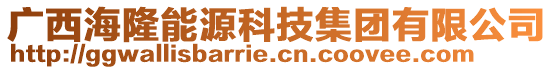 廣西海隆能源科技集團(tuán)有限公司