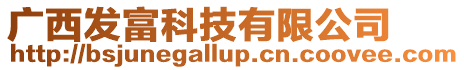 廣西發(fā)富科技有限公司