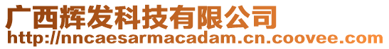 廣西輝發科技有限公司