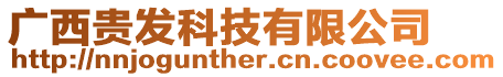 廣西貴發科技有限公司