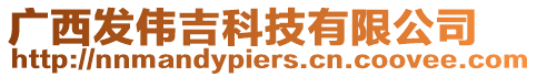 廣西發(fā)偉吉科技有限公司