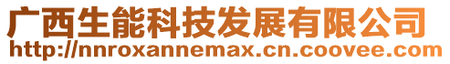 廣西生能科技發(fā)展有限公司