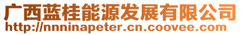廣西藍桂能源發展有限公司