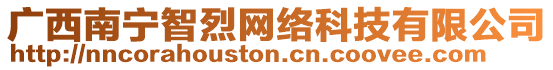 廣西南寧智烈網絡科技有限公司