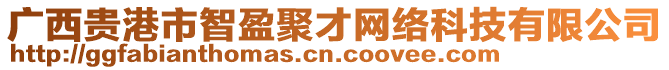 廣西貴港市智盈聚才網(wǎng)絡(luò)科技有限公司