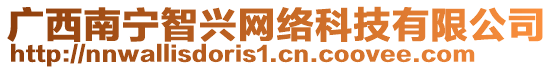 廣西南寧智興網(wǎng)絡(luò)科技有限公司