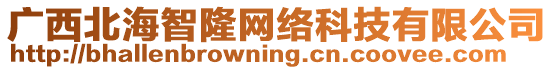 廣西北海智隆網(wǎng)絡(luò)科技有限公司