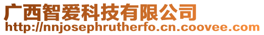廣西智愛科技有限公司