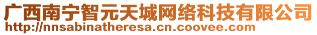 廣西南寧智元天城網(wǎng)絡科技有限公司
