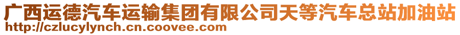 廣西運(yùn)德汽車(chē)運(yùn)輸集團(tuán)有限公司天等汽車(chē)總站加油站