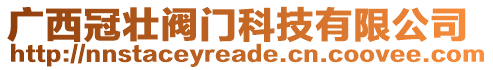 廣西冠壯閥門科技有限公司