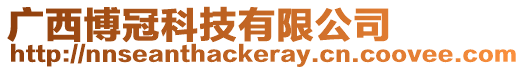 廣西博冠科技有限公司