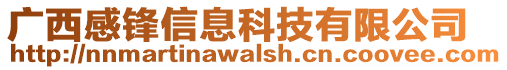 廣西感鋒信息科技有限公司