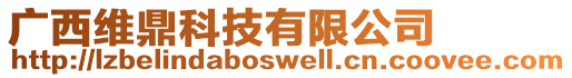 廣西維鼎科技有限公司