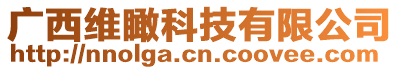 廣西維瞰科技有限公司