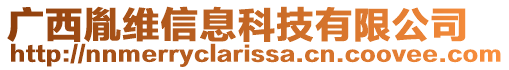 廣西胤維信息科技有限公司