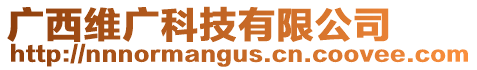 廣西維廣科技有限公司