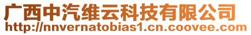 廣西中汽維云科技有限公司