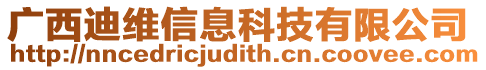 廣西迪維信息科技有限公司