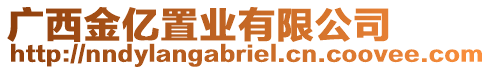 廣西金億置業(yè)有限公司