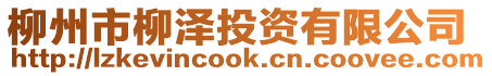 柳州市柳澤投資有限公司