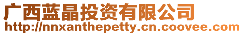 廣西藍(lán)晶投資有限公司