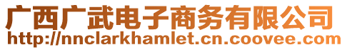 廣西廣武電子商務有限公司