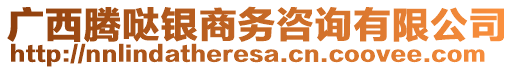 廣西騰噠銀商務咨詢有限公司