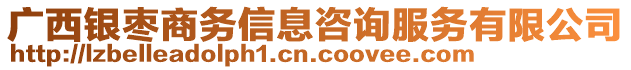 廣西銀棗商務(wù)信息咨詢服務(wù)有限公司