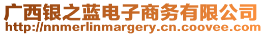 廣西銀之藍電子商務(wù)有限公司
