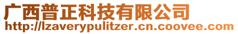 廣西普正科技有限公司