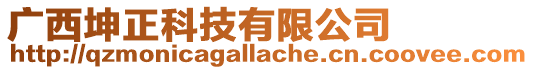 廣西坤正科技有限公司