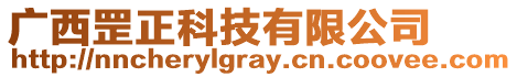 廣西罡正科技有限公司
