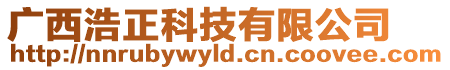 廣西浩正科技有限公司