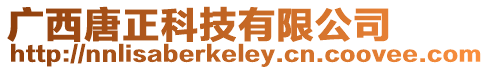 廣西唐正科技有限公司