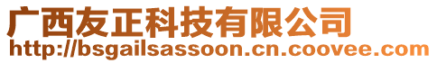 廣西友正科技有限公司