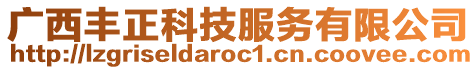 廣西豐正科技服務(wù)有限公司