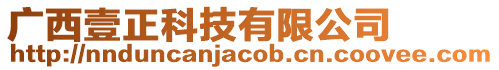 廣西壹正科技有限公司